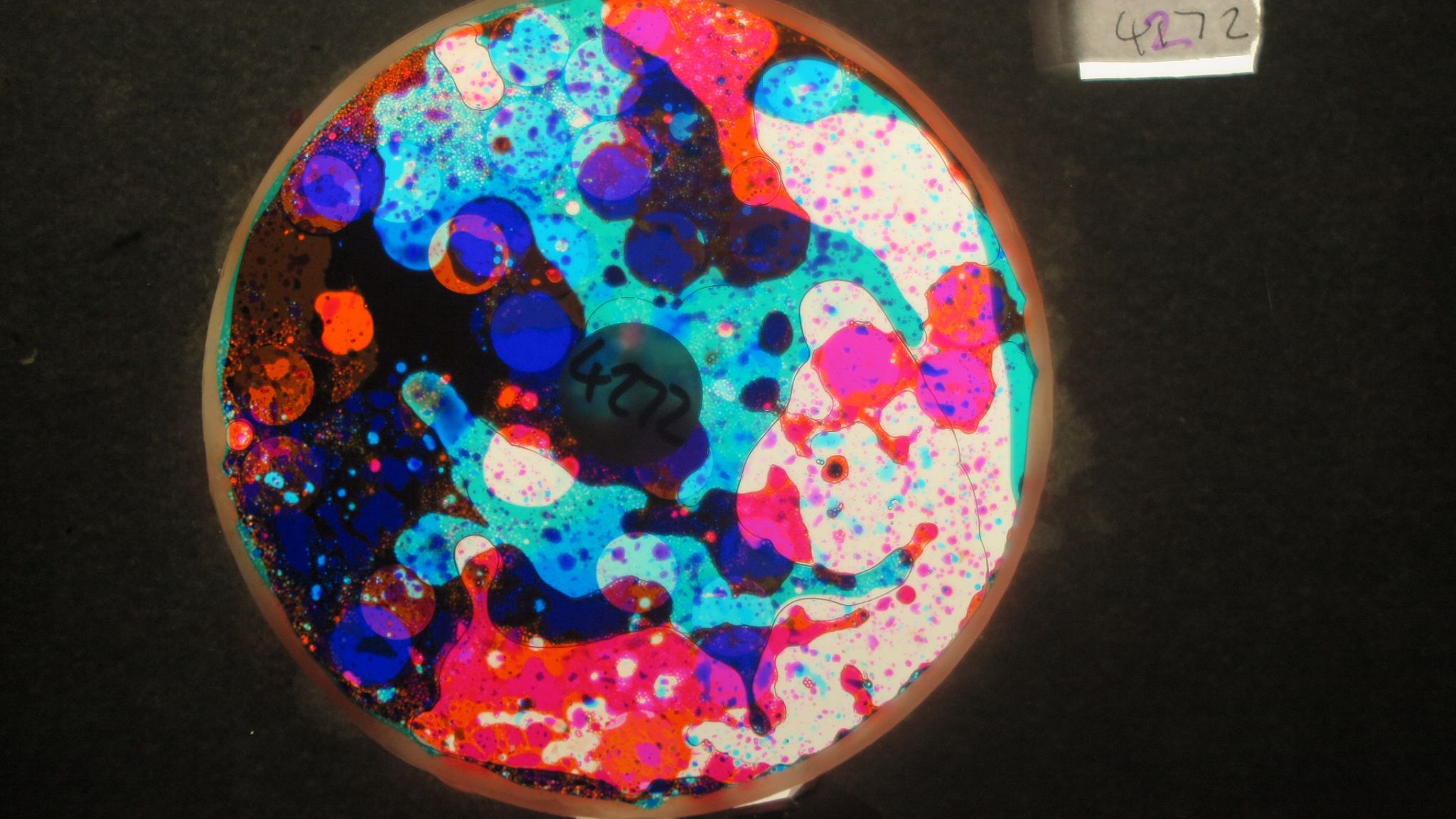 BV4272 bubble vision oil wheel